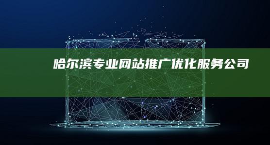 哈尔滨专业网站推广优化服务公司