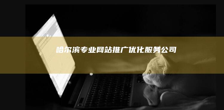 哈尔滨专业网站推广优化服务公司